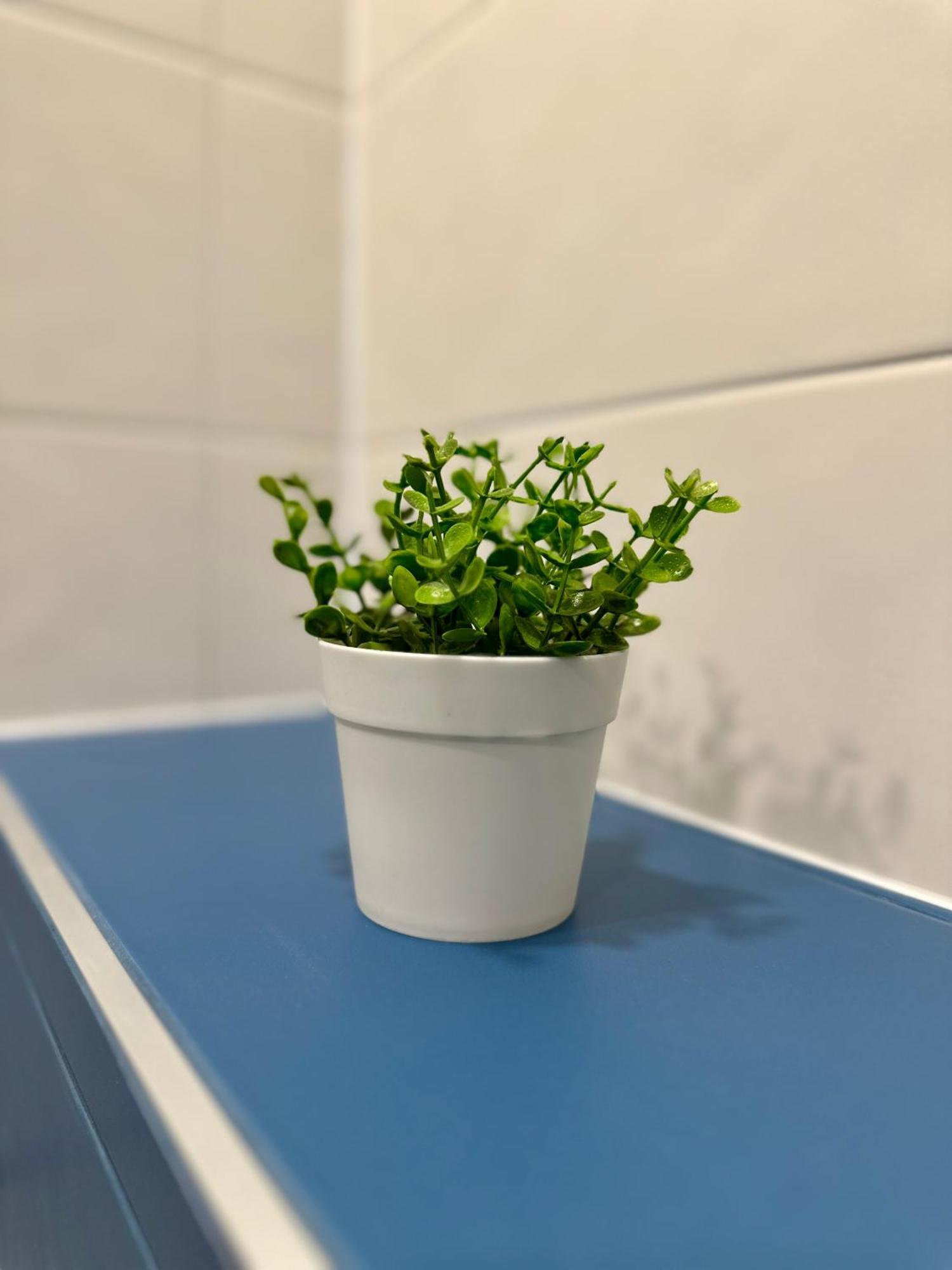 Noble House Comfort Place София Экстерьер фото